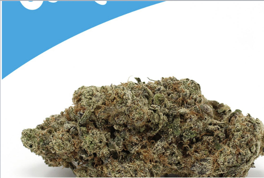 Cookies Kush Mints 8 Strain Cookies Official